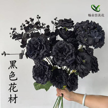 ��ɫ���滨��c���Ļ�Y�þƵ��b��滨��ɫ���滨