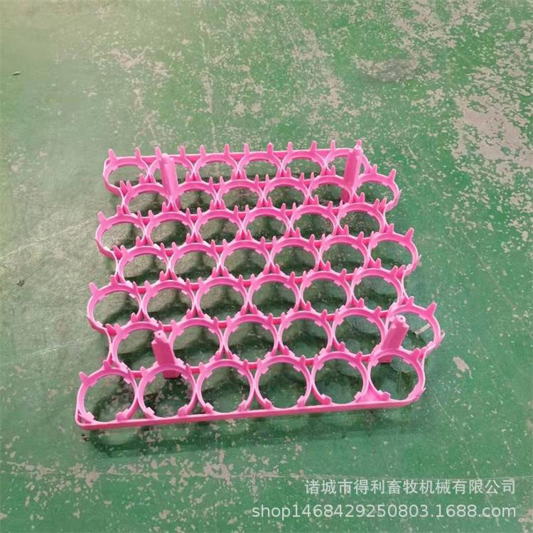 批发山东厂家42枚塑料蛋托 鸡蛋蛋托双齿 单齿蛋托 42枚种蛋托盘