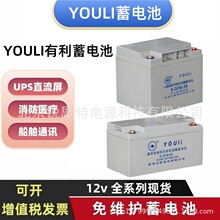 YOULI������늳�6-GFM-65 12V38AH40AH100AH��S�oUPSֱ�����ƿ