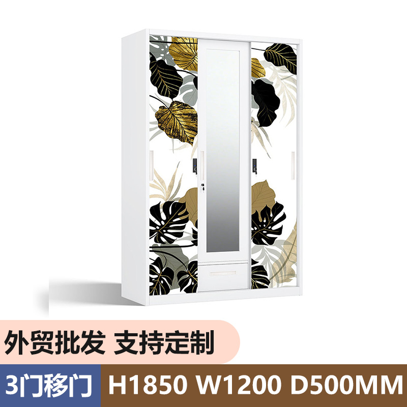 Amazon Hot Steel Printing Wardrobe Ward