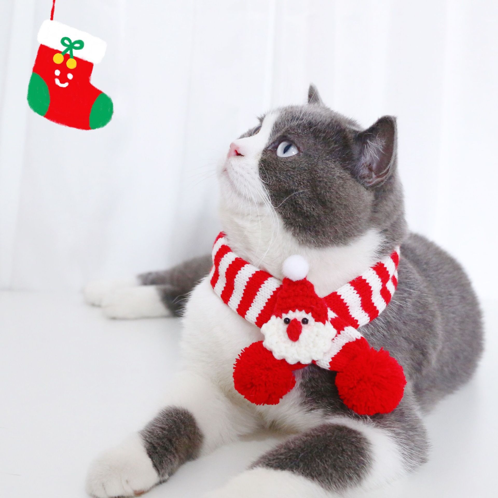 pet knitted striped scarf Christmas dog cat collarpicture2