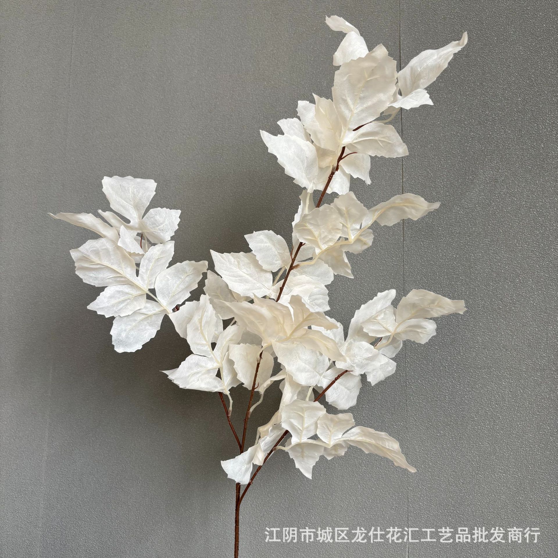 파랑새 잎