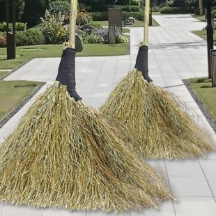 �����λ���S��̖����߰ѭh�l�����R·�߼��üӌ�Ժ�ӽ�֦��̖