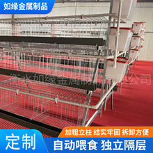 定制三层四门绿槽蛋鸡笼镀锌工艺耐腐蚀鸡笼养殖场笼具阶梯蛋鸡笼