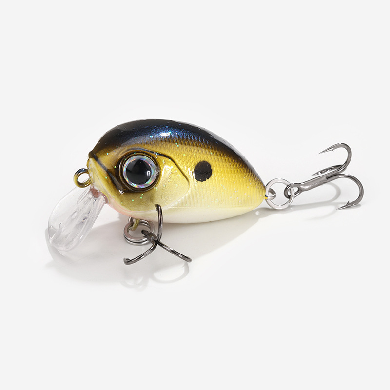 #컬러-6 블랙 뒷면 골드 측면 블랙 도트