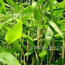 ���l���B���������o�¾G�����~������ �^�����������~���~�����~