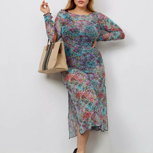 2026 Amazon European and American Foreign Trade Women's Long Dress Beach Vacation Printed Long-Sleeved Fashion Slim Dress