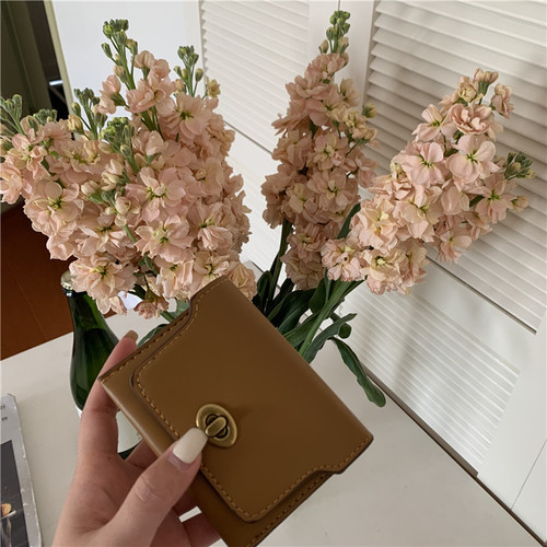 Korean version ins simple card holder coin purse small bag multi-compartment lock card holder texture mini storage bag