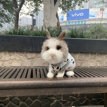 ؈؈�û��w���N�wĘ؈؈�þW�t���͌�����Ӣϵ�������ô����ð��]