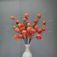 ��������b����긣ͰԪ�������wϲ�²廨ʯ����t�����շ��滨