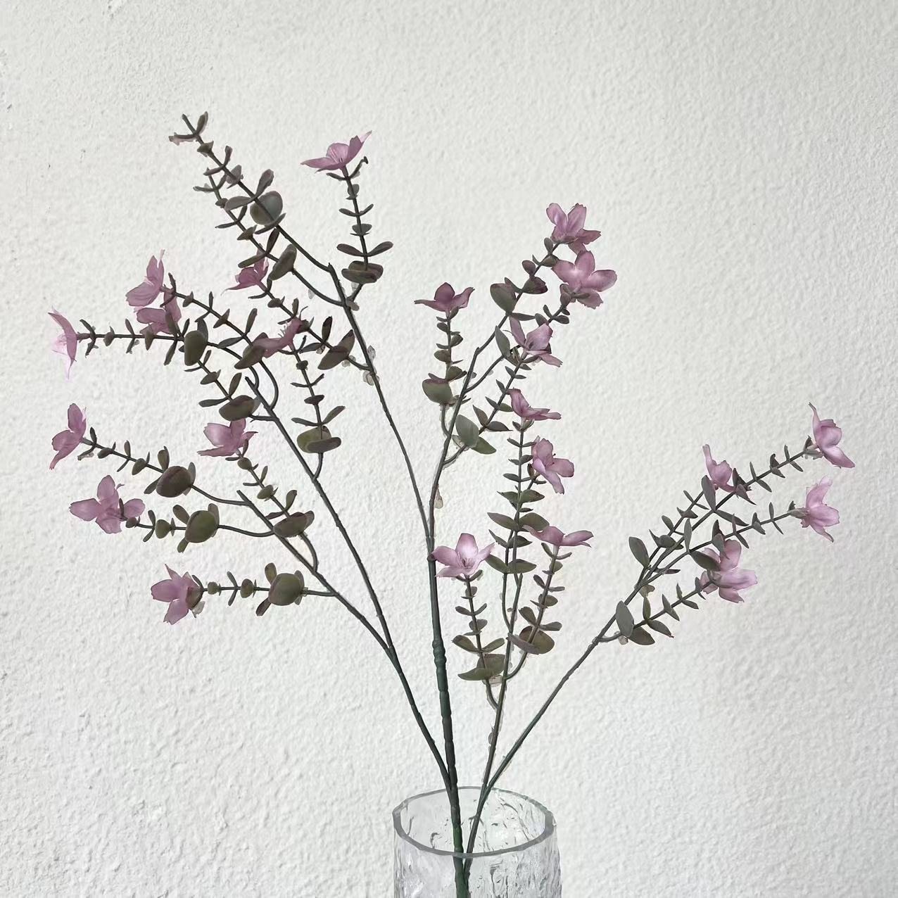 Campana de araña púrpura