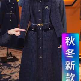 新款遮肉轻奢设计师女装连衣裙优雅气质修身时尚收腰大衣