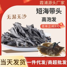 福建海带头干货晒干海带头干特厚优质海带日晒短海带头干净无沙