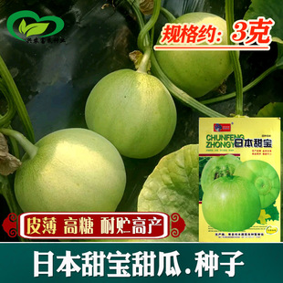 �ձ�������ϷN�� �r���ˈ@�����\�G����� ˮ���Ϲ��N��