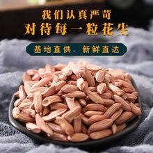 新小瘪花生米生花生米甘甜小粒干瘪花生炒熟无壳零食小瘪子花生米