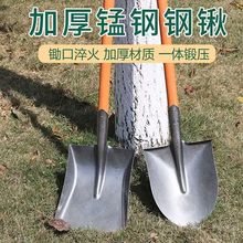锰钢铁锹大铁线家用农用户外铲子木柄平头铲子铁铲子煤锨铁锨