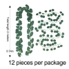 72 Eucalyptus leaves (12 packs)
