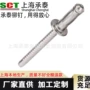 单鼓型库存抽芯齐全铆钉