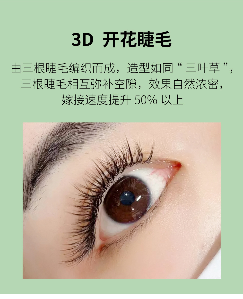 三叶草夹心睫毛 三叶草夹心睫毛