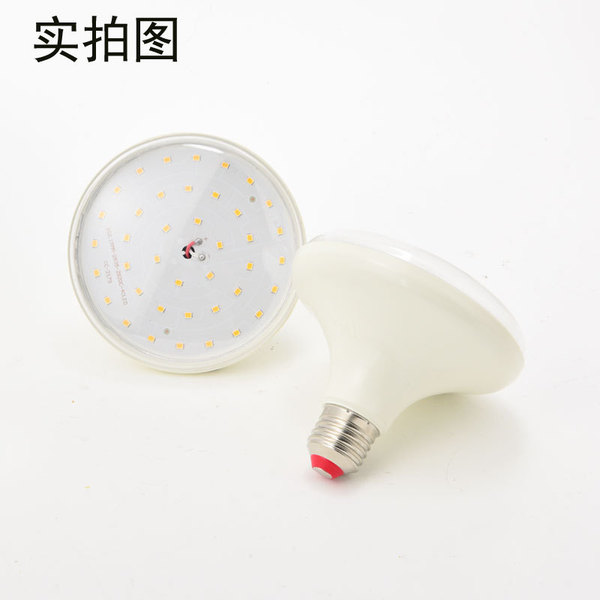 LED plant lamp