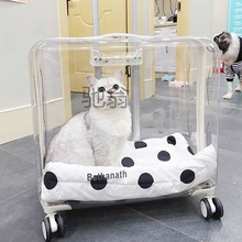 dds宠物外出便携透明狗狗超大号行李箱猫包拉杆箱太空舱猫咪推车
