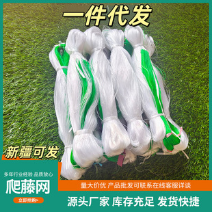 �½��ɰlֲ�����پWɽș���ǽz�ϵ��Ͽ���S�ό��÷Nֲ�������W
