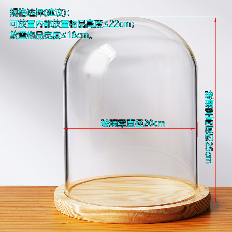 Cubierta cilíndrica de vidrio transparente sin lámpara de madera de estilo inmortal cubierta de polvo de flores hecha a mano decoración creativa de escritorio de bloques