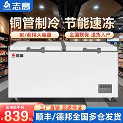 Chigo 冷凍庫業務用冷凍庫大容量横型冷凍庫コールドチェーン銅管単温度二温度冷蔵冷凍庫