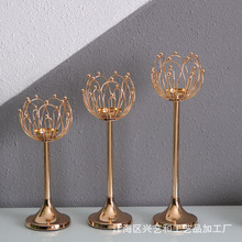 �Fˇ�ɻ��T�����͠T̨�������P�͏d�Ƶ�����̕��Ʒ�[���̄նYƷ