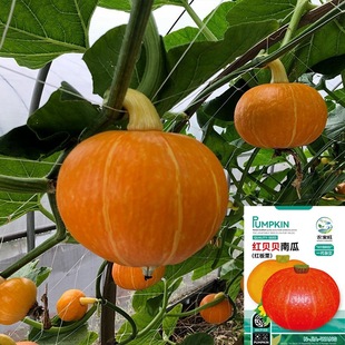 �tؐؐ�ϹϷN�ӾG����������h���۱�һ������ͺ��L���������ļ�