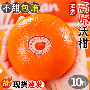 �ָ���ϸ�ԭ����ˮ��10�����Ӯ����ʵ��۸���ɰ�ǽ����l