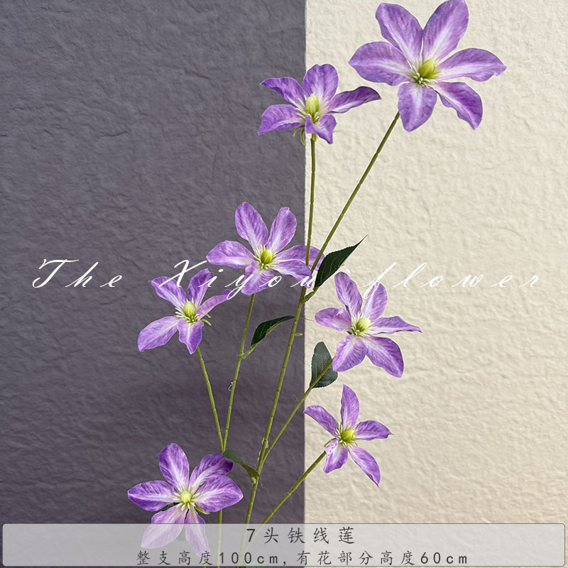 7 헤드 클레마티스-퍼플