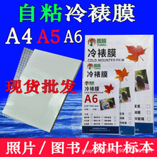 A3��ճ����ĤA4��Ƭ�NĤ6���ֹ����^�N��Ĥ�W�c�D��ʺ粣��