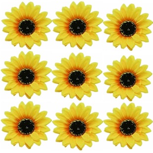 10cm����̫ꖻ��^���l�A���տ��^��߅�A�����ׁ������Ķȼٰl�Ů