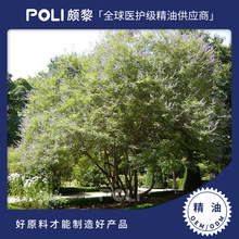 ��˹�၆�ͺ�����S���M���ЙCؑ���侫�� ����ؑ������ԭ�����l