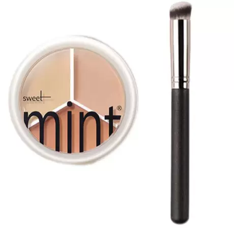 Three-color concealer +270 brush