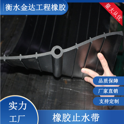 橡胶止水带国标中孔钢边止水带外贴隧道水库堤坝背贴橡胶止水带