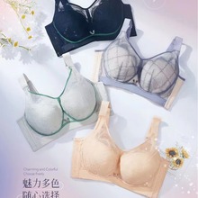 KW8548 ԸٽzȫֱAޱݾ۔n{ո؃