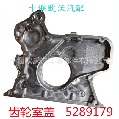Cover, Flywheel/Gear