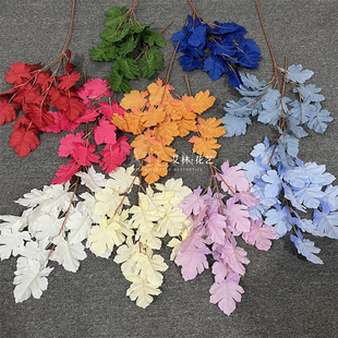 ���������~��c�¿��ɫ����~�b廨��X�~��Y�ò廨��c��ˇ