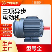 �S��ֱ��ȫ�~�����ஐ��늄әCYE2-90L-6-1.1����늙C������늙C