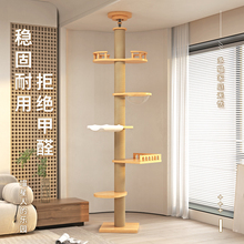 ؈����ͨ����؈��؈�Cһ�w����؈��С��؈��؈��̨�������