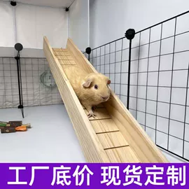仓鼠窝、笼;鸟类;仓鼠玩具