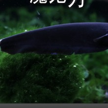 �Ꭷ�^�p�~���w�ڵ��~����ë�����