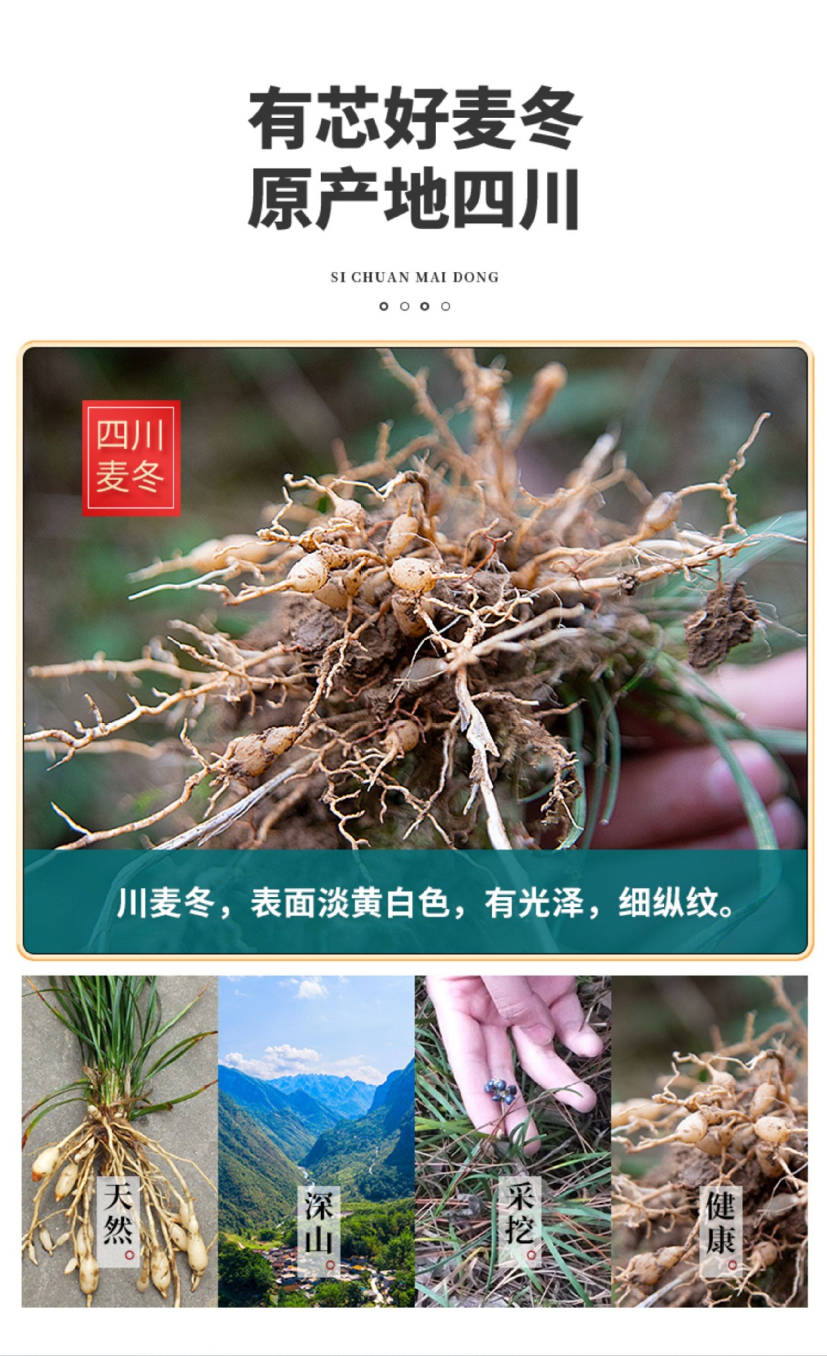 Sichuan Mai Dong Ophiopogon Root 500g Dried Mai Men Dong Chinese Herbal Tea and Decoction Slices key features