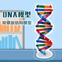 【2026开学季】科学实验教育模型推荐|符合新课标|含教学视频