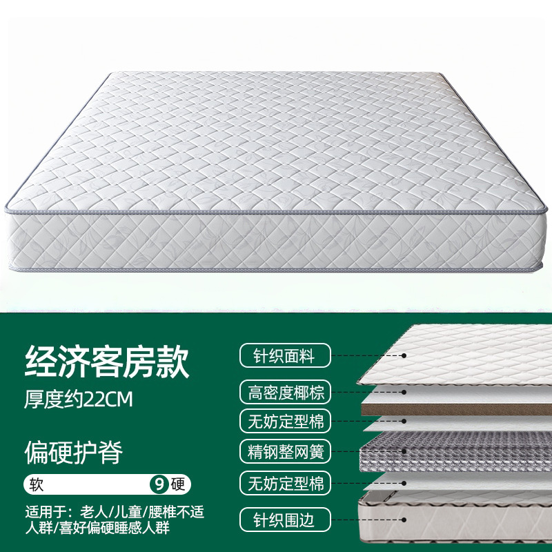 Economical room model-hard spine protection [22cm]