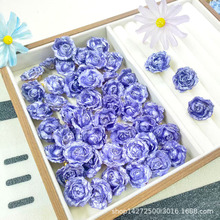 ���z�滨õ�廨DIY���Ⱦɫ�ɻ��������朰��Ʒ�ֹ��������