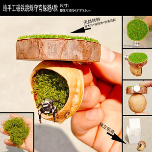 Foreign Trade Pet Jumping Spider Box Shelter Hole Sun Terrace Walnut Hut Small Gecko Cave Magnet Florida Jumping Spider