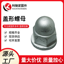盖母 一体焊接盖母 M24盖母铁路专用线带垫盖形螺母 防尘法兰盘
